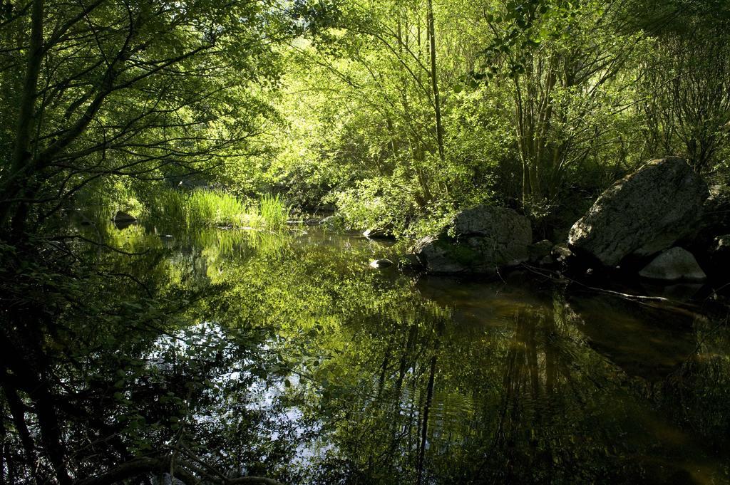 La Casa De Los Arribes Fornillos de Fermoselle Eksteriør billede